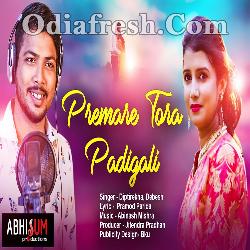 Premare Tora Padigali - Romantic Odia Song By Diptirekha , Debesh Pati